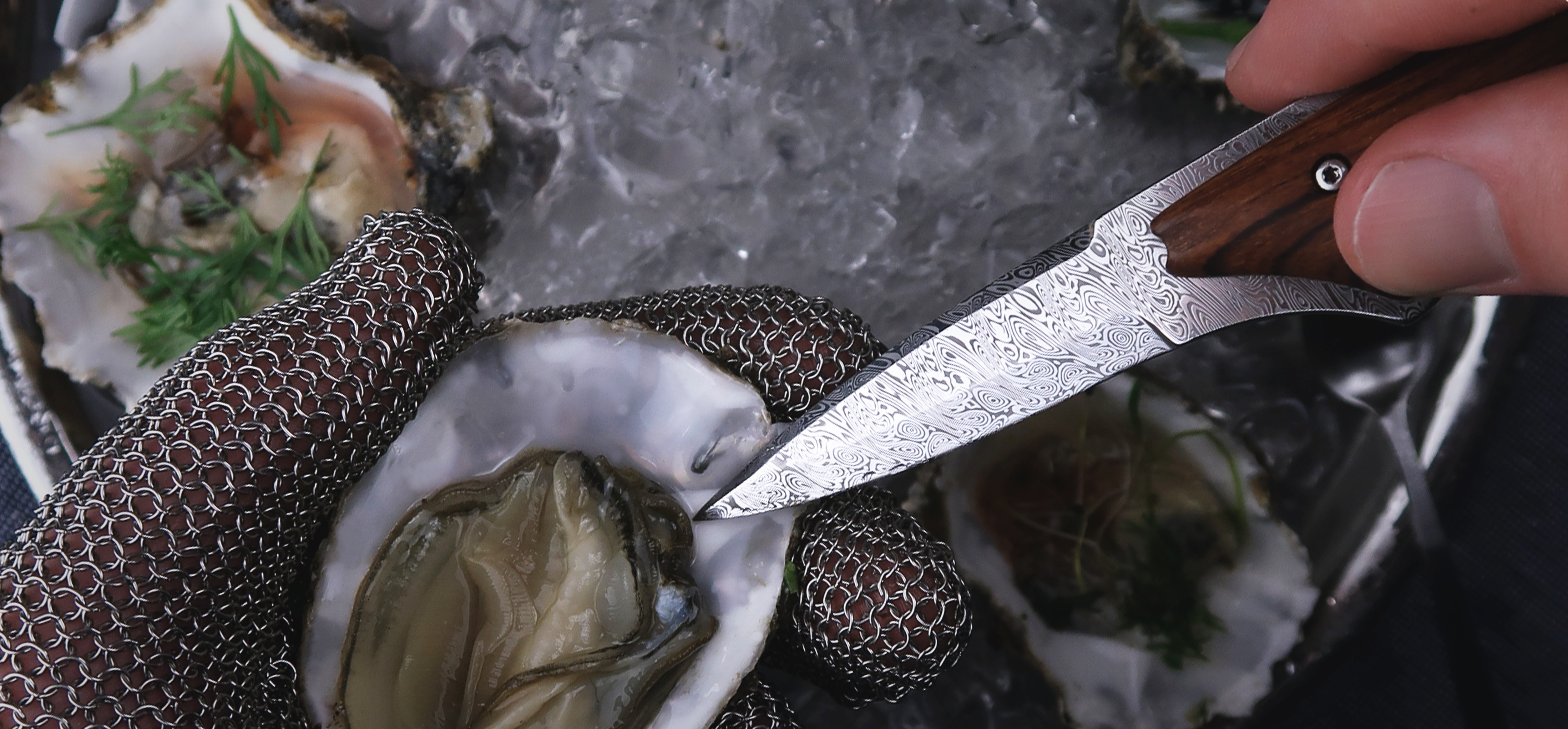 Oyster Shucking Gloves to Shuck Oysters Safely & Quickly Chainmail