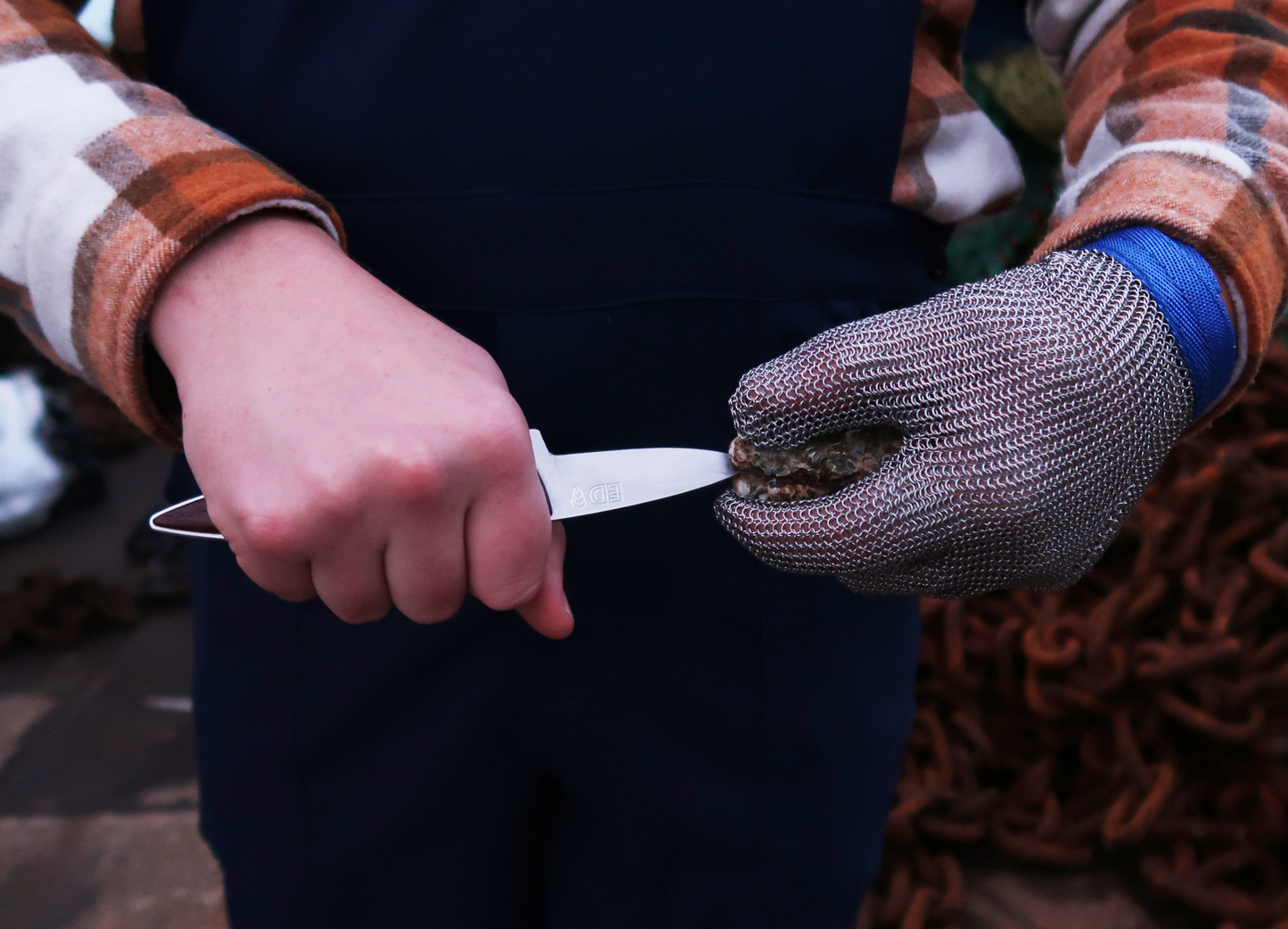 The Enduris Oyster Knife - Paduk Wood