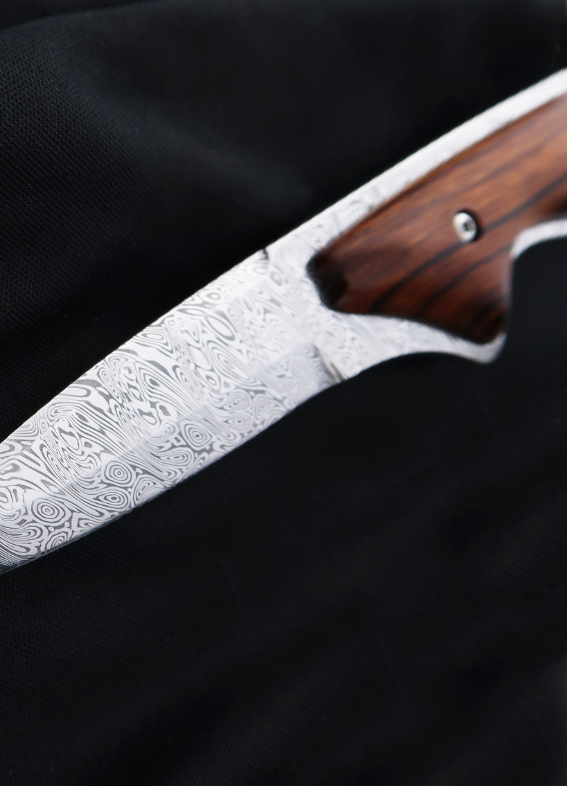 The Jacomina Oyster Knife