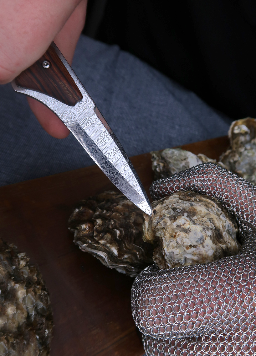 The Jacomina Oyster Knife