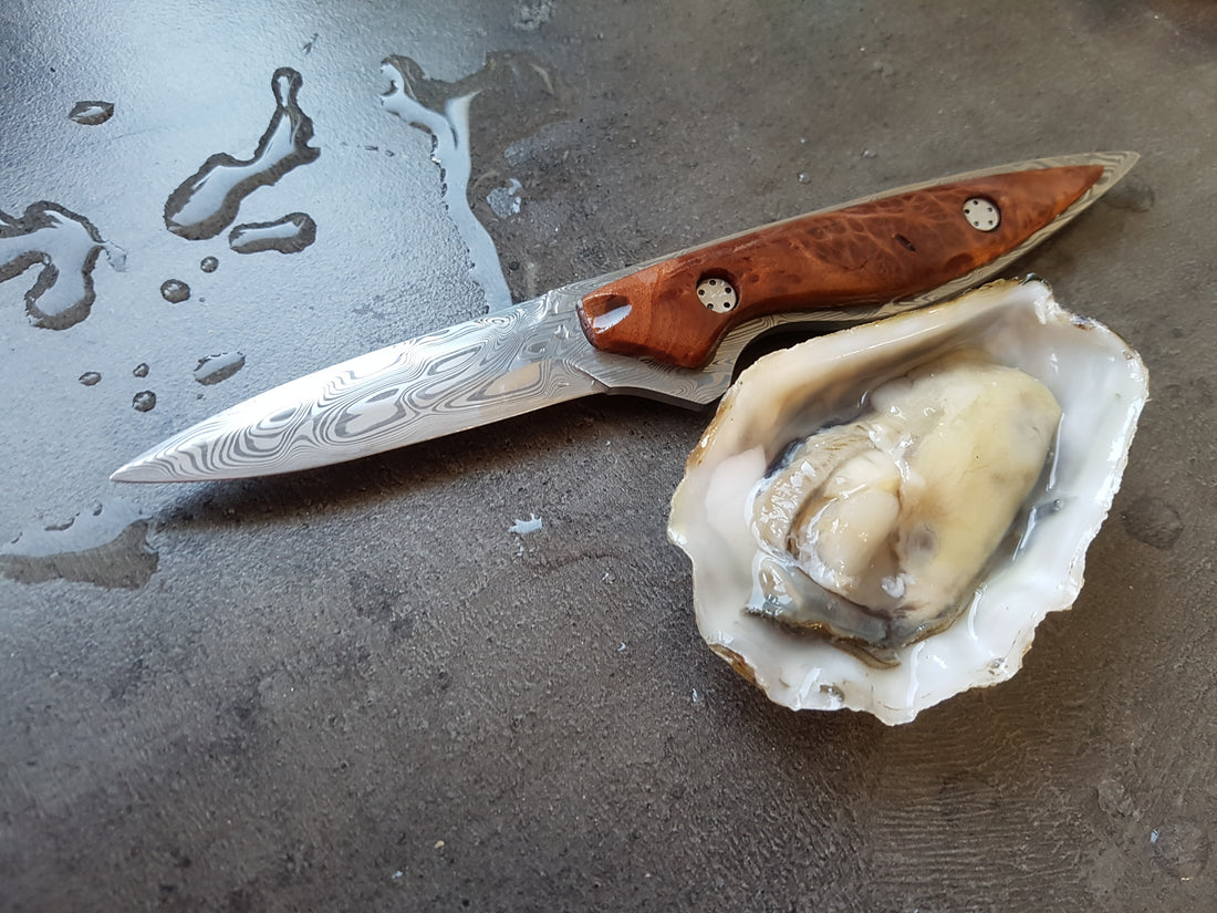 Oyster Odyssey: The Japanese Oyster's Unintended Arrival in Zeeland