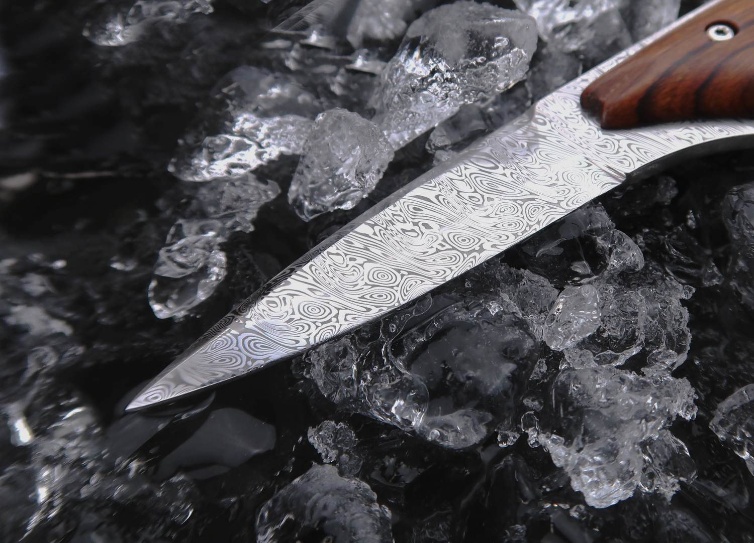 The Jacomina Oyster Knife