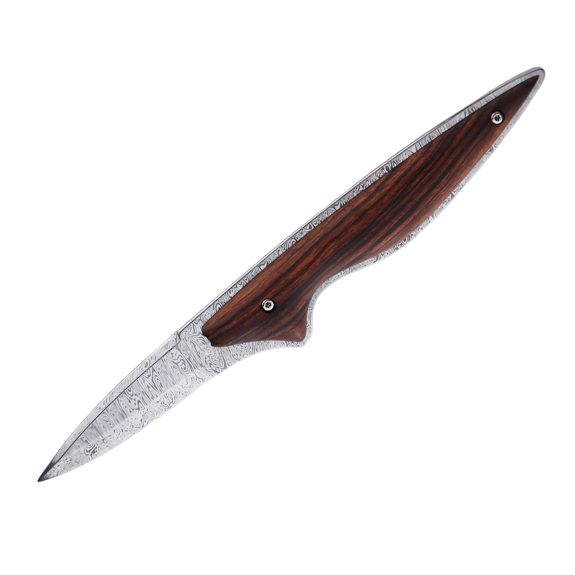 The Jacomina Oyster Knife