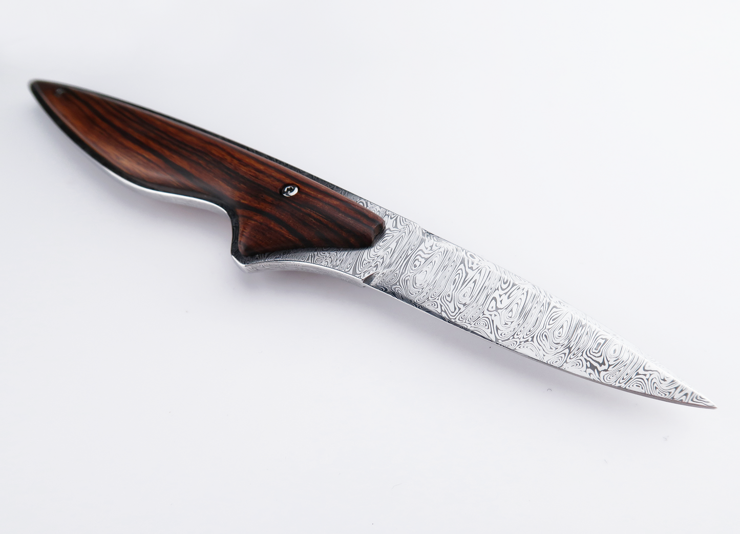 The Jacomina Oyster Knife